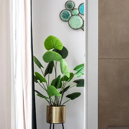 Apartment Dimo Luxury 2